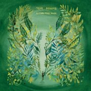 Tammy Adams - After The Rain (2025)