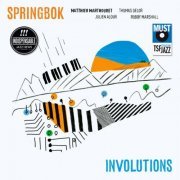 Matthieu Marthouret SPRINGBOK - Involutions (2022) [Hi-Res]