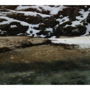 The Maple Trail - SUNDIAL (2025) [Hi-Res]