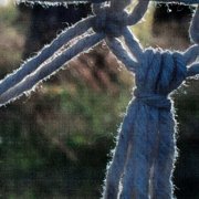 Caktus - Øyeblikk (2026) Hi-Res