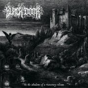 Black Door - In the Shadows of a Funerary Gleam (2026)