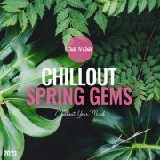 VA - Chillout Spring Gems 2023: Chillout Your Mind (2023)