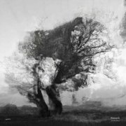 Swansither - Ronsack (2025)