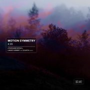 Motion Symmetry - X 20 (2021)