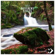 VA - Different Styles Vol. 9 (2019)