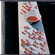 Paul McCartney - McCartney (1970) {1993, Japanese Reissue} CD-Rip