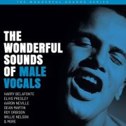 VA - The Wonderful Sounds of Male Vocals (2020) LP