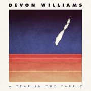 Devon Williams - A Tear in the Fabric (2020)