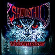 Sawdust Hill - Widowmaker (2023) [Hi-Res]