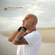 Pascal Obispo - Le Grand Amour (2013)