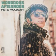 Pete Molinari - Wondrous Afternoon (2023) Hi Res