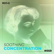 VA - Soothing Concentration 050 (2026)