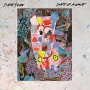 Steve Gunn - Shape of a Wave EP (2026) [Hi-Res]