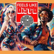 VA - Feels Like Disco (2025)