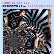 Steve Hillage - Light In The Sky - Introducing... Steve Hillage (2003)