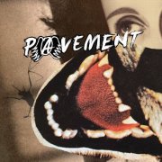 Pavement - Hecklers Choice: Big Gums and Heavy Lifters - A Pavement Collection (2025) [Hi-Res]