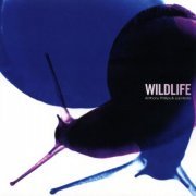 Anthony Phillips & Joji Hirota - Wildlife (2023 Remaster) (2023)