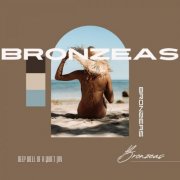 Bronzeas - Deep Well of a Quiet Joy (2026) Hi-Res