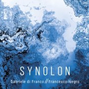 Francesco Negro - Synolon (2022) Hi-Res