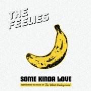 The Feelies - Some Kinda Love: Performing The Music Of The Velvet Underground (2023) [Hi-Res]