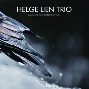 Helge Lien Trio - Badgers And Other Beings (2014) (LP) DSD256