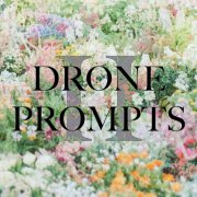 Vintage Credenza - Drone Prompts II (2025) [Hi-Res]