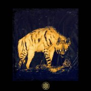 Offish - Circling The Drain (2025)