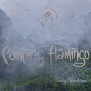 Pumping Flamingo - Cloudy Mountains (2021) Hi Res