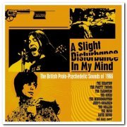 VA - A Slight Disturbance In My Mind: The British Proto-Psychedelic Sounds of 1966 (2020)