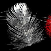 Hugo Isaksen - Where Twilight Winds Wander (2026) [Hi-Res]
