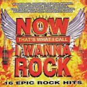 VA - Now That's What I Call I Wanna Rock (2011)