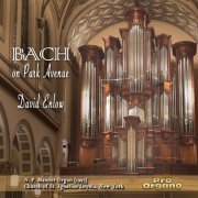 David Enlow - Bach on Park Avenue (2019)