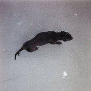 Still Blank - Still Blank (Deluxe) (2026) Hi Res