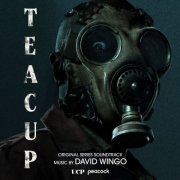 David Wingo - Teacup (Original Series Soundtrack) (2024) [Hi-Res]