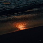 Jin Soo Kim - Aspiration (2026) [Hi-Res]