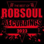 VA - Robsoul - Best Of 2023 (2023)