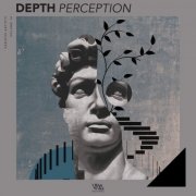 VA - Depth Perception, Vol. 16 (2025)
