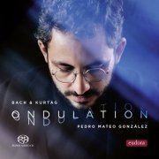 Pedro Mateo González - Ondulation (2022) [Hi-Res] [DSD] [MQA]