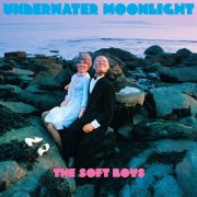 The Soft Boys - Underwater Moonlight (45th Anniversary Remaster) (2025) [Hi-Res]