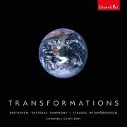 EnsembleCaméléon - Transformations: Beethoven’s "Pastoral" Symphony and Strauss’ Metamorphosen for chamber ensemble (2023) Hi-Res