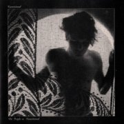 Transitional - The People Vs. Transitional (2025)