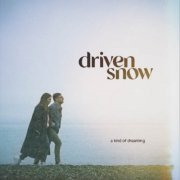 Driven Snow - A Kind Of Dreaming (2024) [Hi-Res]