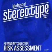 Risk Assessment - The Best Of Stereo:type 2023 (2023)