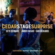 Seth Bernard - Cedar Stage Surprise (2022)