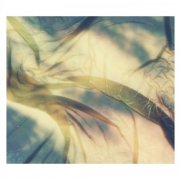 Deadbeat - Kansai Botanicals (2026)
