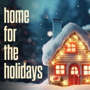 VA - home for the holidays (2025)