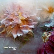 Tinlicker - Cold Enough For Snow (2024)