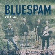 Bluespam - What Is Mojo (2017)