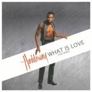 Haddaway - What Is Love (The Mixes) (2013)