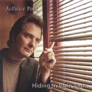 Anthony Paule - Hiding In Plain Sight (2001)